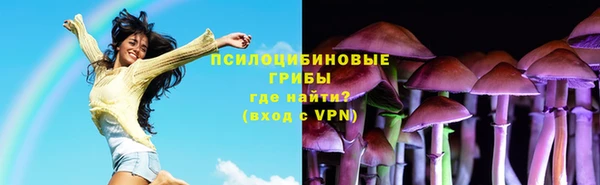 герыч Няндома