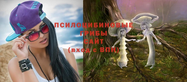 гашик Новый Уренгой