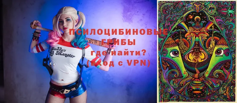 Псилоцибиновые грибы Magic Shrooms  Пугачёв 